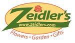 Zeidler's