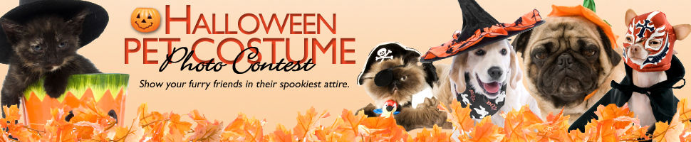 Halloween Pet Costume Photo Contest