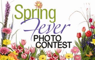 Spring Fever Photo Contest