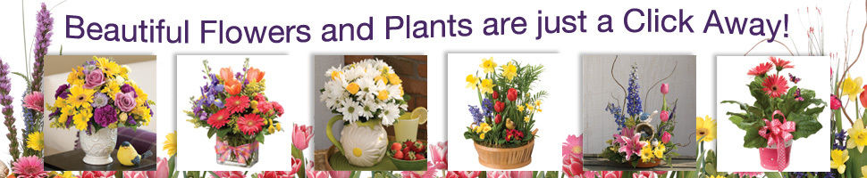 Spring Fever Photo Contest