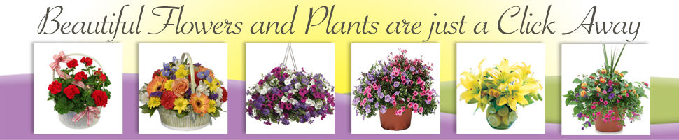 How Does your Garden Grow