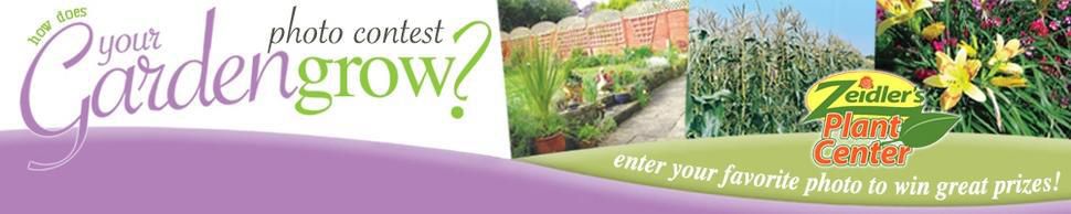How Does your Garden Grow