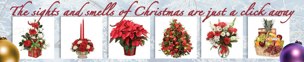 Holiday Fun Photo Contest