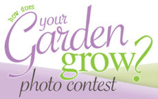 How Does your Garden Grow