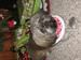 Cocoa my Christmas present
