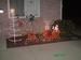 Santa Lights