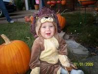 1ST ROAR IN 2008