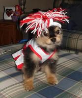 Cheerleader Gidget