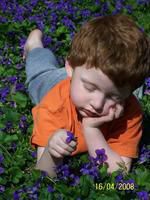 Dalton playing in the wild violets