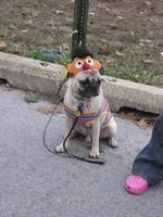 Ernie