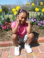 Flower Garden at the Zoo...