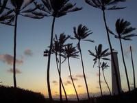 Hawaiian Paradise