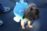 I went fishin' and caught.... a BRODY FISH!!
