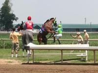 Not goin in the gate!
