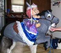 Princess on a Pony