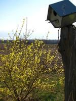 Springtime on the farm
