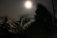 The Lonely Night