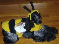 The Queen Bee