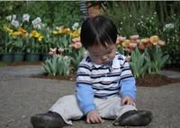 babies and blossoms