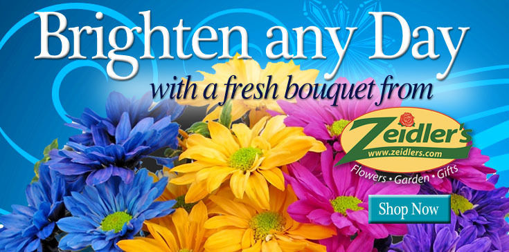 JAN 2011 Brighten January Days - 