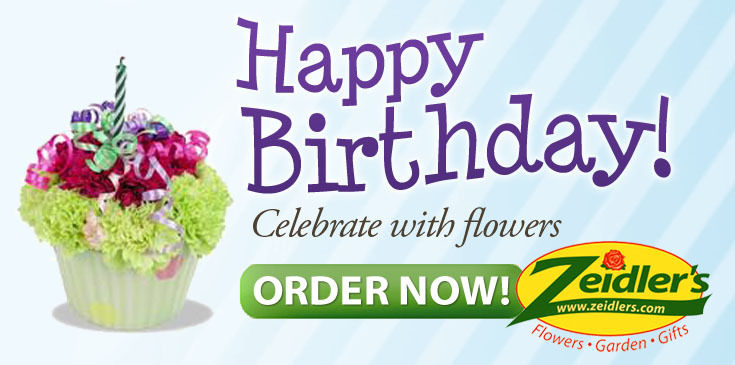 Birthday - 