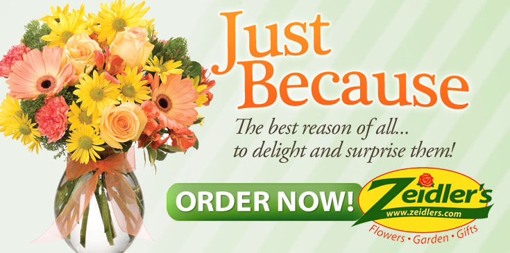Just Because - 