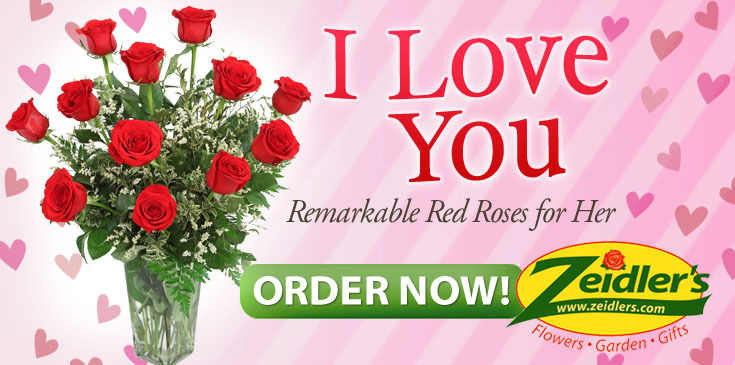 Love - 