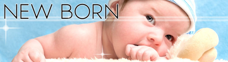 New Baby Flowers & Gifts, Zeidler's Flowers, Garden & Gifts