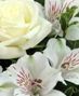 Sympathy Flowers