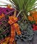 Gardens & Planters