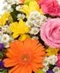 Spring Flowers