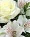 Sympathy Flowers