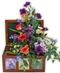 Sympathy Gifts
