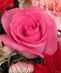 Valentine's Day 2012