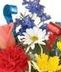 Birthday Flowers & Gifts
