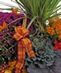 Gardens & Planters