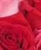 Valentine Corsages