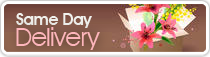 Same Day Delivery