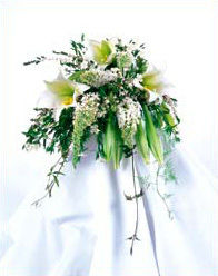 Weddings at Zeidler's