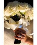 White Roses