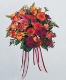 Lovely Fall Color Combination