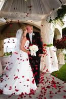 Bride and Groom