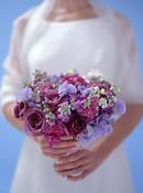 Mixed Purple