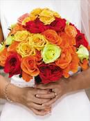 Multi Colored Roses