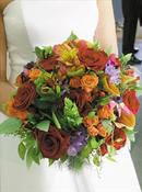 Multi Colored Mixed Flowers