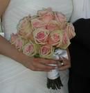 Two Tone pink