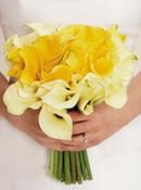 Yellow Calla Lilies