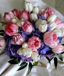 Tulips & Hydrangeas