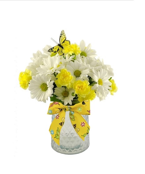 Daisy Delight