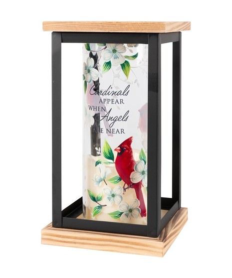 Cardinals Appear Lantern